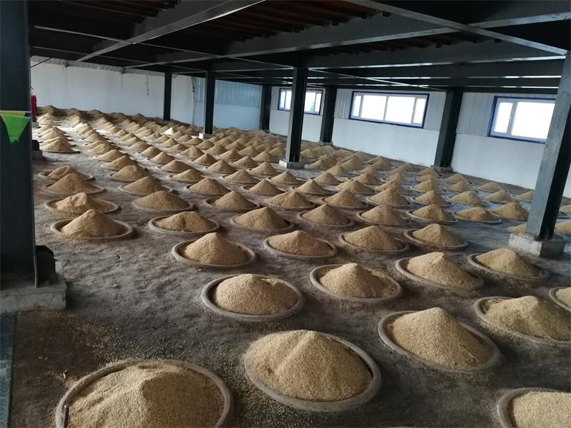 5eba58ae6f3f3.jpg 6.jpg